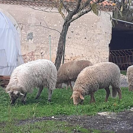 Maison De Campagne A La Ferme Pillac Exterior foto