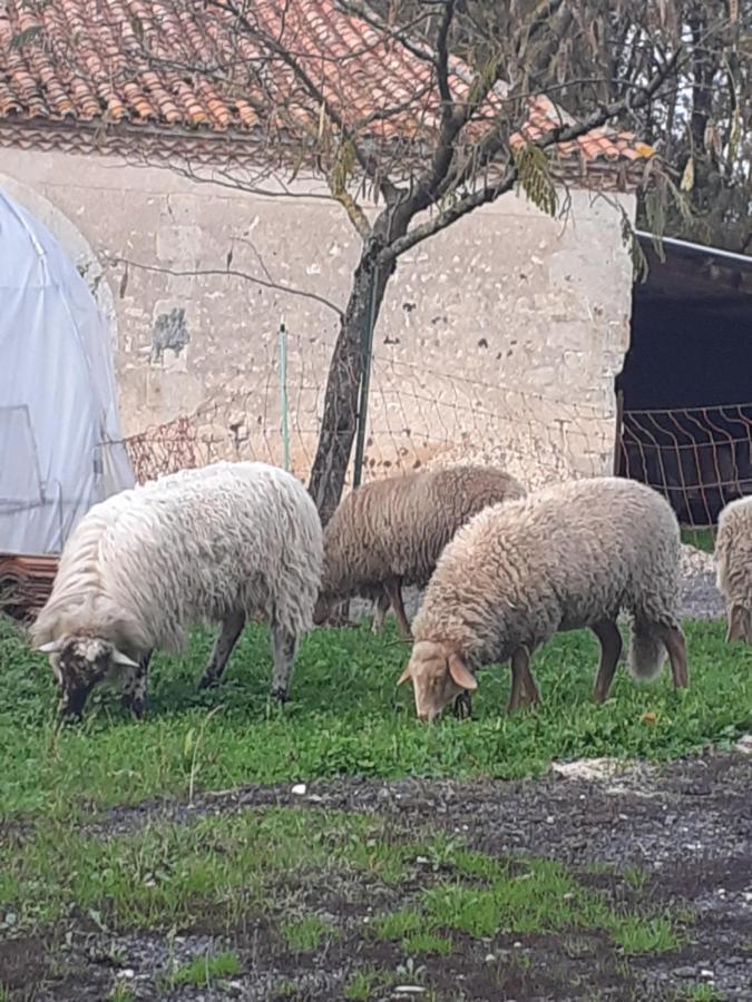 Maison De Campagne A La Ferme Pillac Exterior foto